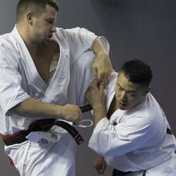 Pasaulio kiokušin karatė čempionatas | Algimanto Barzdžiaus nuotr. 6