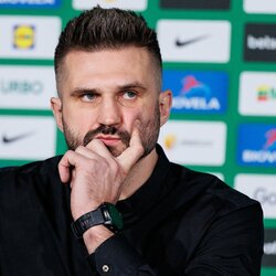 Linas Kleiza | Eriko Ovčarenko / BNS foto nuotr. 5