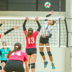 Lietuvos moterų tinklinio čempionato finalai | Evaldo Šemioto nuotr. 6