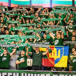 „Žalgiris“ – ALBA rungtynių akimirka | Teodoro Biliūno / BNS foto nuotr. 3