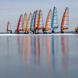 Daivos Šeibelienės nuotr. | Organizatorių nuotr. 5