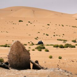 „CFMOTO Thunder Racing Team“ nuotr. | Komandos nuotr. 1