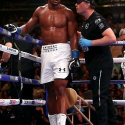 Anthony Joshua prieš Andy Ruizą | Scanpix nuotr. 3