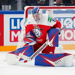 Švedijos – Čekijos rungtynių akimirka | IIHF nuotr. 2