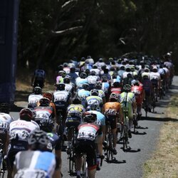 AFP/Scanpix nuotr. | Organizatorių nuotr. 2