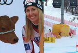 Pasaulio kalnų slidinėjimo taurės nugalėtoja dovanų gavo veršiuką, lenktynes sutrikdė pripučiamas sūris