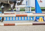 Tarptautinėse žirgų sporto varžybose – Lietuvos raitelių pasirodymai