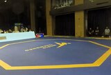 Europos tekvondo čempionatą lietuviai užbaigė pralaimėjimais