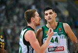 M.Grigonis prisidėjo prie pratęstos „Panathinaikos“ pergalių serijos Graikijoje