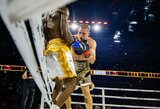 WBA išbraukė buvusį čempioną Eimantą Stanionį iš reitingo