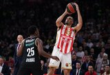 „Maccabi“ spurto nesustabdžiusi „Crvena Zvezda“ suklupo namuose
