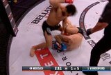 „Bellator 275“: G.Mousasi vos per 85 sekundes apgynė vidutinio svorio kategorijos čempiono titulą