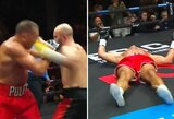 Kovoje dėl WBA „reguliariojo“ sunkiasvorių čempiono diržo – 12 metų jaunesnio varžovo vienu smūgiu nokautuotas Kubratas Pulevas