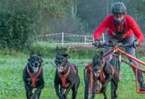 Pasaulio šunų kinkinių taurės etape – dvigubas I.Daujotienės triumfas