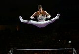 Vienas geriausių karjeros pasirodymų užtikrino R.Tvorogalui kelialapį į Paryžiaus olimpiadą