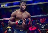 F.Ngannou ragina T.Fury nustoti kalbėti ir ir kovoti su juo