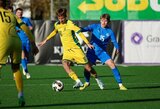 Matijus Remeikis sugrįžo į Lietuvą