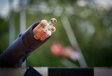 K.Petrauskaitė Italijoje laimėjo šuolininkių su kartimi varžybas