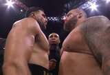 Atskleista, kiek milijonų pasidalino Hallas ir Fury