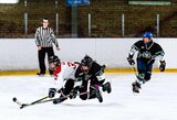 „Hockey Stars“ šėlsmas Latvijoje: įspūdingais skirtumais nukautos dvi varžovės