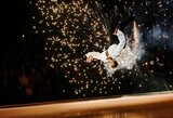 Prieš olimpinį startą – palaikanti čiuožėjo Reklio žinutė istorinį rezultatą pasiekusiai Variakojytei: „Tu esi šio sporto princesė“