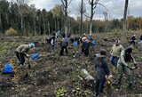 Tvarumo čempionai: penkiakovininkai pasodino 3 500 medžių