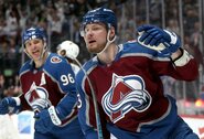 Skandalingasis rusas svarbiausioje NHL sezono stadijoje suspenduotas 6 mėnesiams