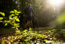 Ėjimas | Vytauto Pilkausko nuotr.