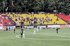 Vilniaus „Žalgirio“ sirgaliai | „Stop“ kadras