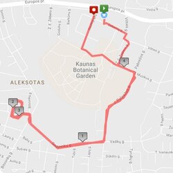 Aleksotas