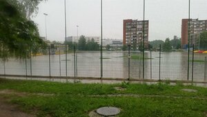 Csaba Laszlo, Lietuvos rinktinės treneris