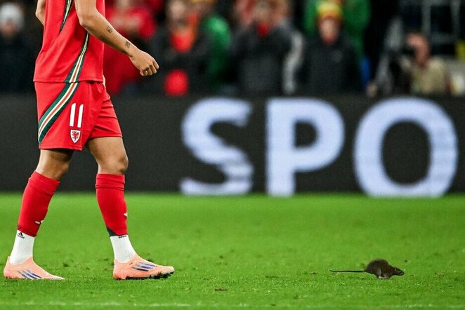 Rungtynių akimirka | „X“ nuotr.