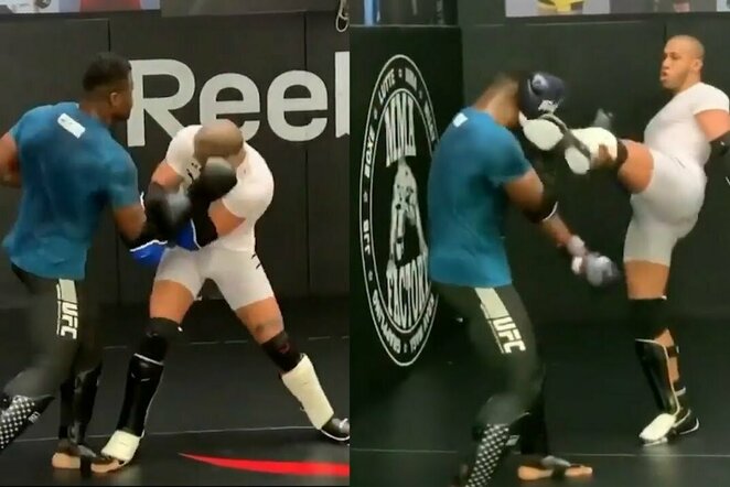 Francis Ngannou ir Cirylas Gane'as | „Stop“ kadras