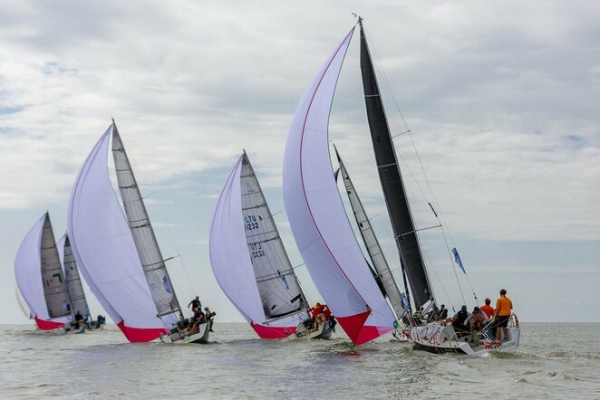 Kuršių marių regata | Eduardo Bareikos nuotr.