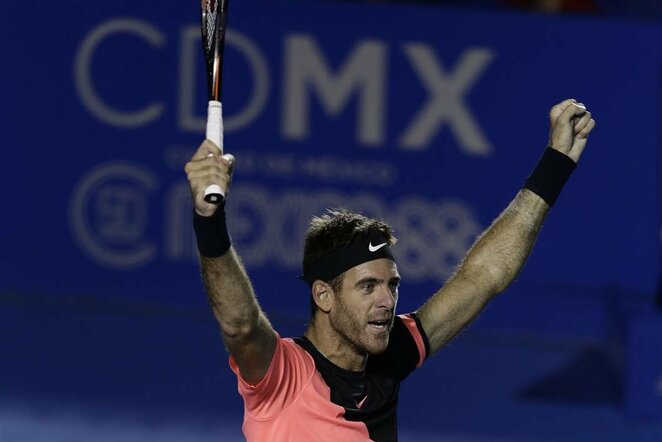 Juanas Martinas Del Potro | Scanpix nuotr.