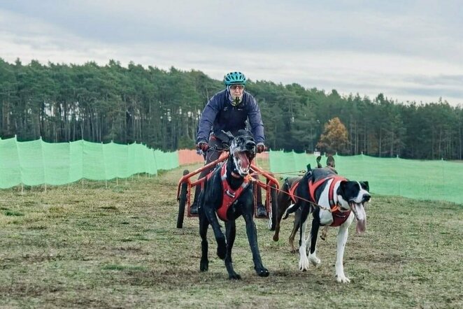 Lietuvos šunų kinkinių sporto federacijos nuotr. | „Facebook“ nuotr.