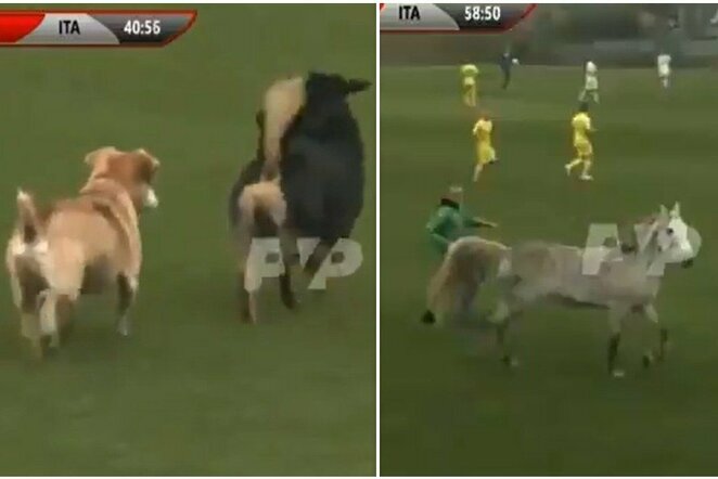 Rungtynių akimirkos | „Twitter“ nuotr.