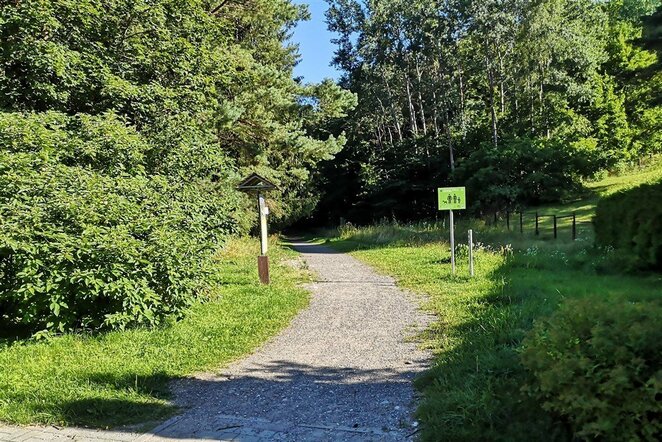 Sapieginė ir Šveicarija | Organizatorių nuotr.