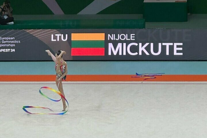 Lietuvos gimnastikos federacijos nuotr. | Organizatorių nuotr.