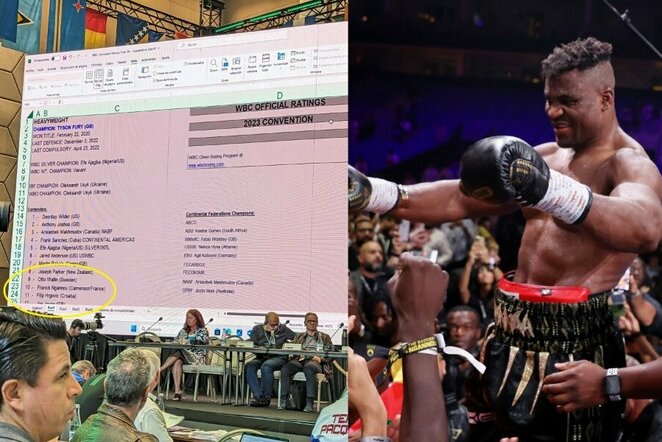 Francis Ngannou atsidūrė WBC reitinge | Scanpix nuotr.