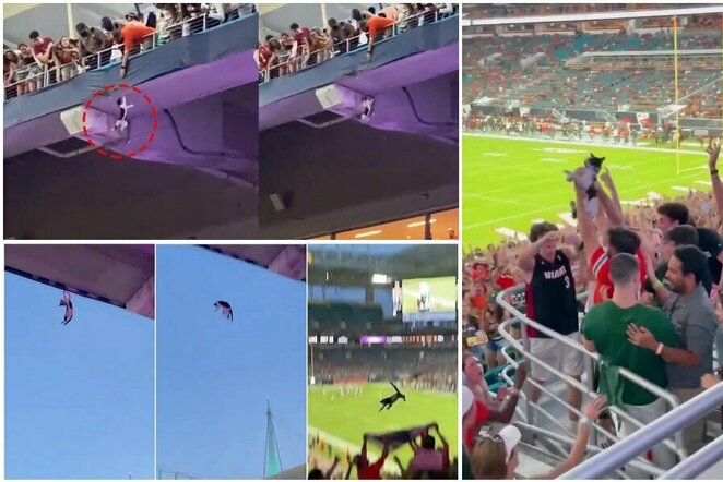 Sirgaliai trumpam pamiršo rungtynes: gelbėjo iš didelio aukščio kritusią katę | „Twitter“ nuotr.