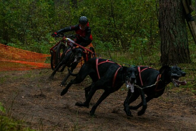 Klubo „Top Dogz“ nuotr. | Organizatorių nuotr.