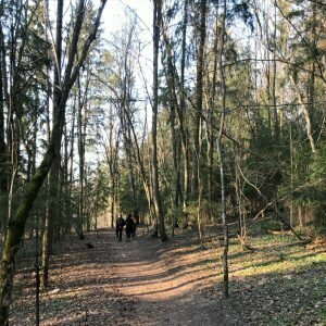 Pasivaikščiojimo vietos Vilniuje (Ėjimo nuotr.) | Organizatorių nuotr.