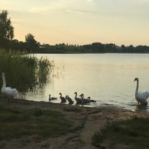 Pasivaikščiojimo vietos Vilniuje (Ėjimo nuotr.) | Organizatorių nuotr.