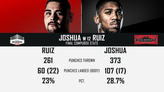 Bendra smūgių statistika | Organizatorių nuotr. Bendra smūgių statistika | Organizatorių nuotr.