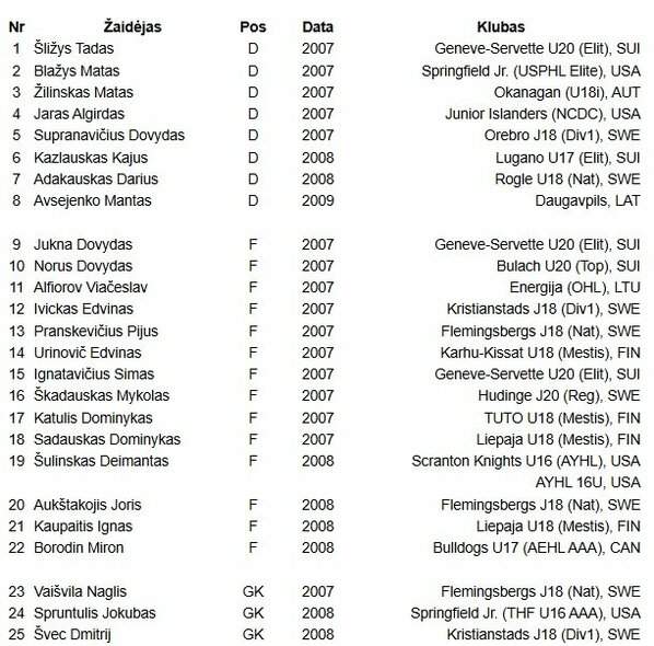 Lietuvos jaunių ledo ritulio rinktinės kandidatai | hockey.lt nuotr. Lietuvos jaunių ledo ritulio rinktinės kandidatai | hockey.lt nuotr.