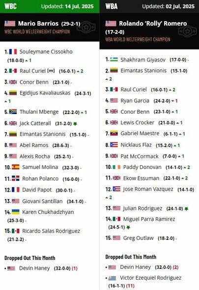 WBC ir WBA liepos reitingai | Organizatorių nuotr.
