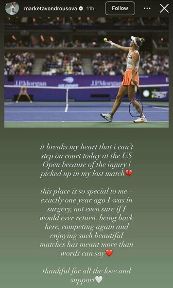 Marketos Vondroušovos komentaras | Instagram.com nuotr