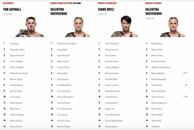UFC reitingia | Organizatorių nuotr.