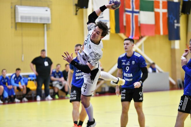 „VHC Šviesos“ nuotr. | Organizatorių nuotr.